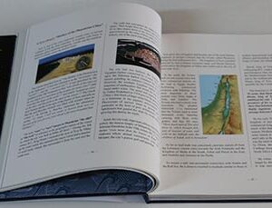 Europa and Cadmus - From Lebanon to the world - Image 8