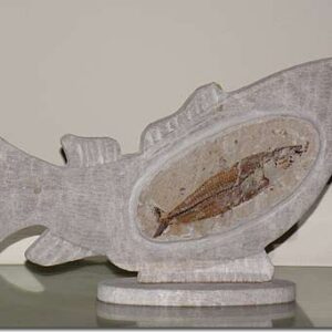 Sculpted bas-relief with fossils - Available on request - Image 2
