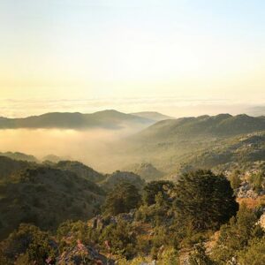 Sunset Jaj cedar reserve - Image 1