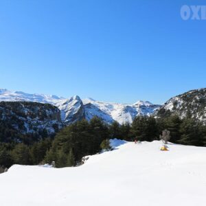 Poster of Hadath el Jebbeh - Image 1