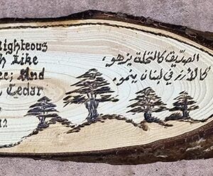Half-logs of cedar wood with inscriptions - Image 3