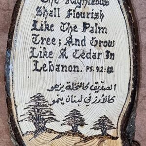 Half-logs of cedar wood with inscriptions - Image 4