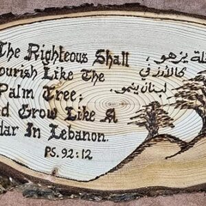 Half-logs of cedar wood with inscriptions - Image 5