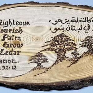 Half-logs of cedar wood with inscriptions - Image 6