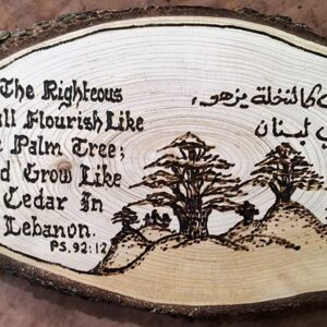 Half-logs of cedar wood with inscriptions - Image 2