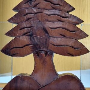Cedarwood with cedar of Lebanon - Image 6