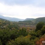 Photo poster Hardine Wetland 2022