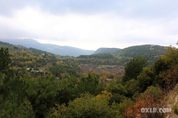 Photo poster Hardine Wetland 2022