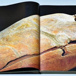 Les Phéniciens - Trésors d'une civilisation ancienne - Image 4