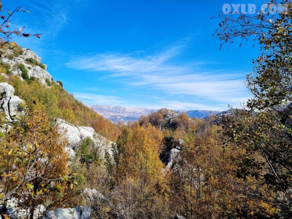 Poster photo of Jabal Mousa 2022