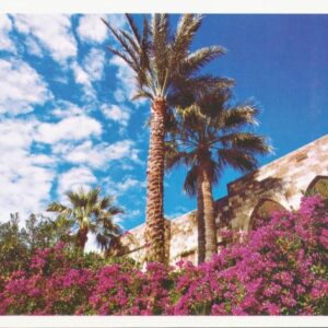 Postcards Jbeil Byblos - Image 3