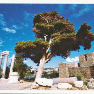 Postcards Jbeil Byblos - Image 8