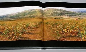 For Lebanon, forever and ever. Lebanon, Memories of a moment - Image 9