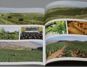 Book Lebanon - Image 5