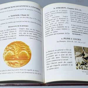 Le Liban Ancien - Pouvoir et Peuple - Image 3