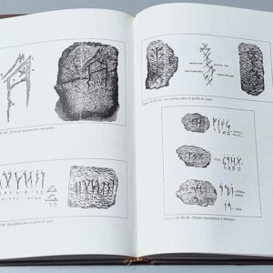 Livre Pheniciens ont-ils decouvert l'Amerique