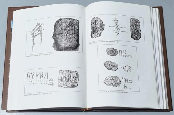 Livre Pheniciens ont-ils decouvert l'Amerique