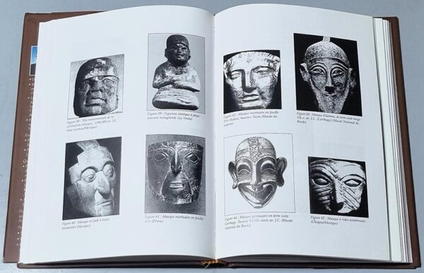 Livre Pheniciens ont-ils decouvert l'Amerique