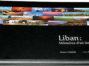 For Lebanon, forever and ever. Lebanon, Memories of a moment - Image 1