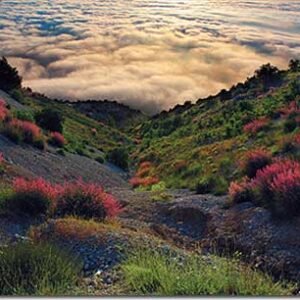 Album - Lebanon: Box of Moments - Image 8