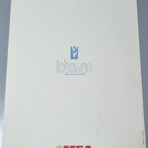 middle east airlines