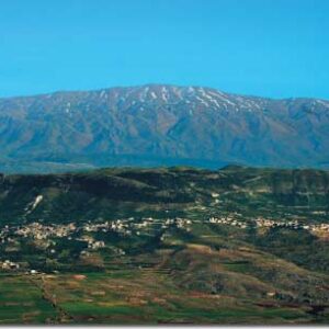 Album - Lebanon: Box of Moments - Image 10