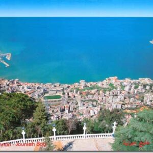 Colored Posters from Lebanon - Image 20