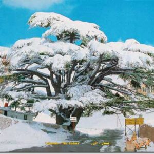 Colored Posters from Lebanon - Image 14