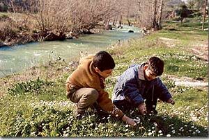 Village du Ciel - Lebanon Village of Heaven - Image 3