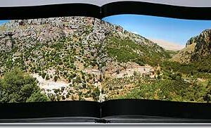 For Lebanon, forever and ever. Lebanon, Memories of a moment - Image 6