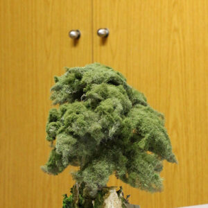 Sculpture Miniature Bonsai Cedar Tree - Image 5