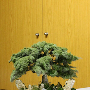 Sculpture Miniature Bonsai Cedar Tree - Image 3