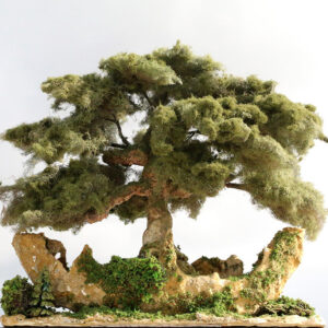 Sculpture Miniature Bonsai Cedar Tree - Image 16