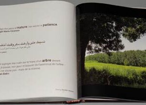 Book Serenity - Sérénité - السكينة - Image 2