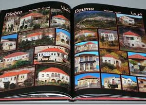 Heritage Wealth - The Stone - Small Version - Image 3