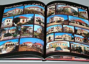 Heritage Wealth - The Stone - Small Version - Image 2