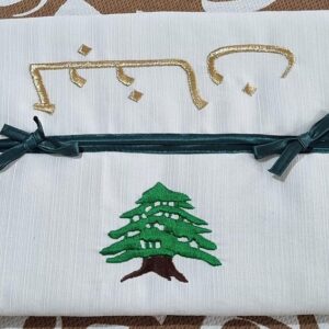 Soft pouch to hold inside tissue