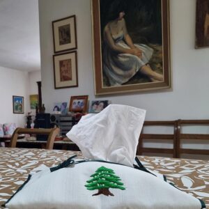 Soft pouch to hold tissues inside