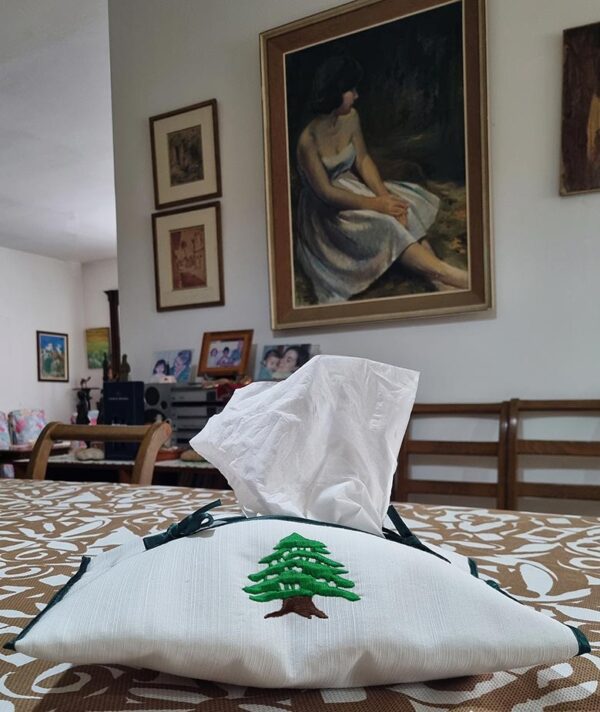 Soft pouch to hold tissues inside