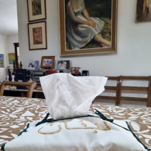 Soft pouch to hold inside tissue