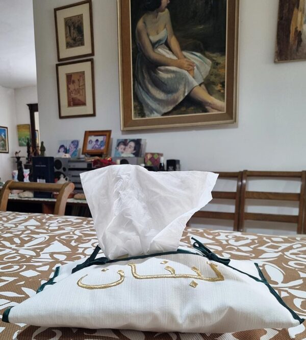 Soft pouch to hold inside tissue