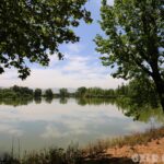 Taanayel farm Poster