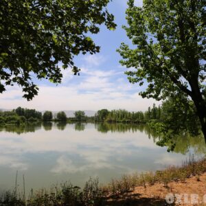 Taanayel farm Poster