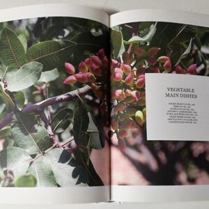 Aleppo Cookbook - Image 5