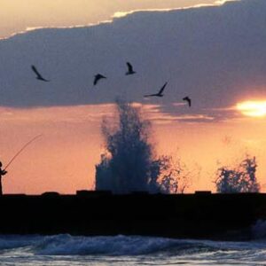 Munir - A lifetime journey captured - Image 3