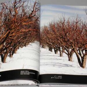 White Lebanon - Liban Blanc - لبنان الأبيض - Image 7