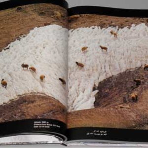 White Lebanon - Liban Blanc - لبنان الأبيض - Image 6