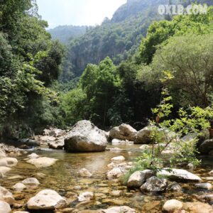 Adonis river, Yahchouch - Image 1