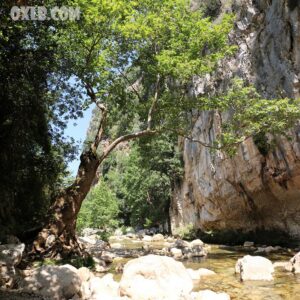 Adonis river, Yahchouch - Image 1