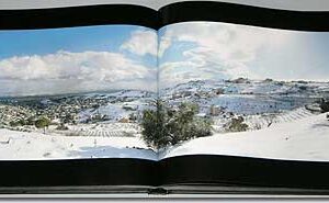 For Lebanon, forever and ever. Lebanon, Memories of a moment - Image 3